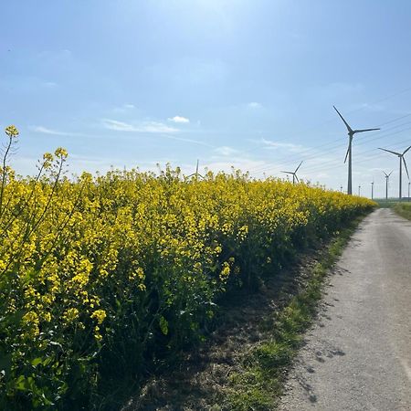 Kaisers Ferienhaus Kaifenheim Buitenkant foto