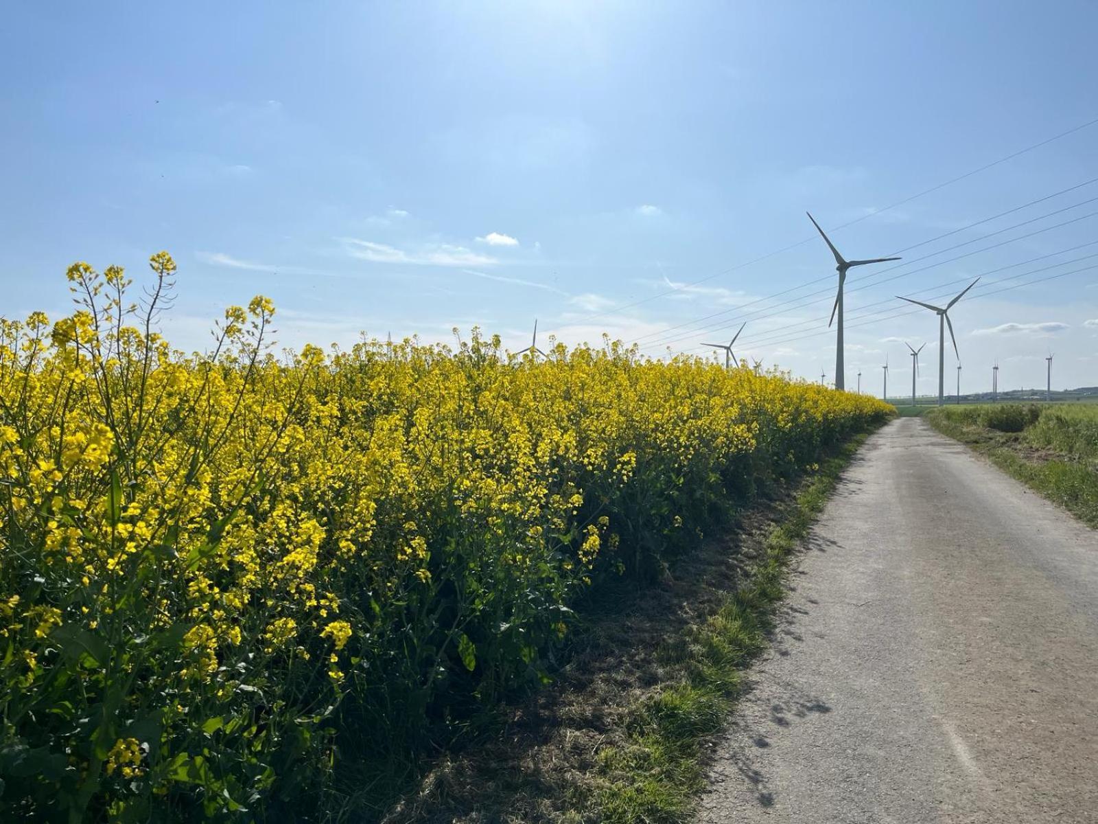 Kaisers Ferienhaus Kaifenheim Buitenkant foto
